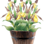 Barrel Planter Wisdom: Maximizing Whiskey's Afterlife 21 Barrel Planter Wisdom: Maximizing Whiskey’s Afterlife