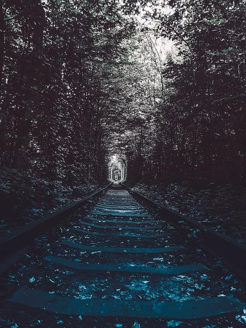 Weller Special Reserve vs Blanton's Single Barrel: Wheated Wonder 4 4. Bridging the Gap: Comparing the Price Points and Accessibility of Weller Special Reserve and Blanton's Single Barrel