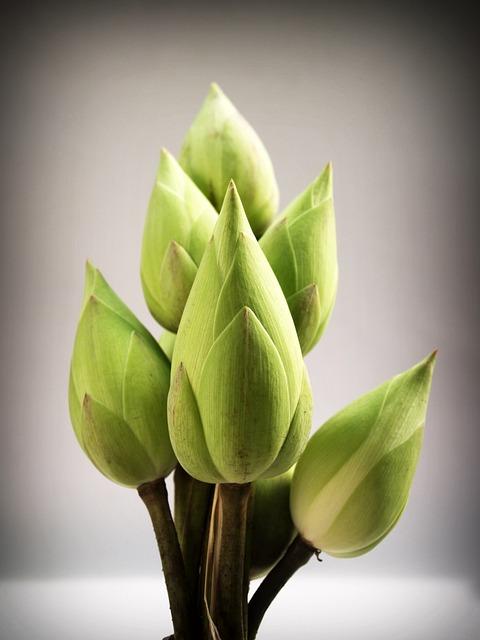 Four Roses Single Barrel vs Woodford Reserve: A Floral Affair 9 The Art of Pairing: Enhancing Floral Flavors with Food Recommendations for Four Roses Single Barrel and Woodford Reserve