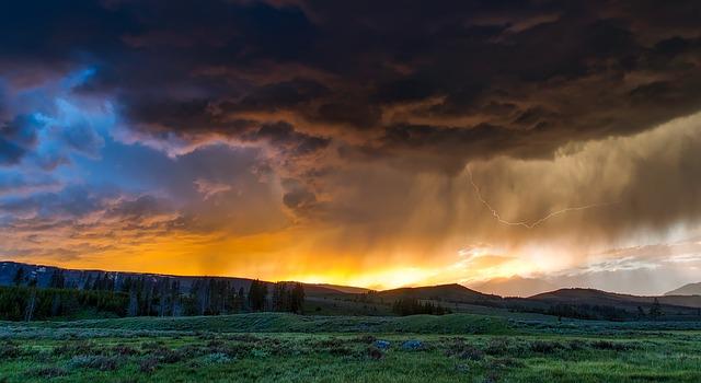 1. The Hidden Gems: Exploring Yellowstone's Exclusive Whiskey Collection