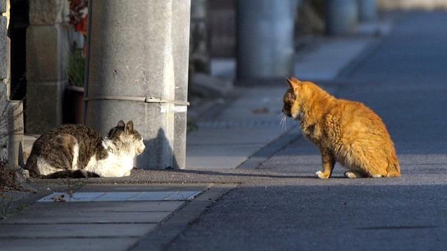 Soulful Lyrics and Smooth Sips: Must Be the Whiskey Magic 6 5. The Perfect Pairing: Unraveling the Art of Matchmaking Lyrics and Whiskey