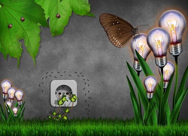 Best Cheap Rye Whiskey: Quality on a Budget Explored 6 5. Budget-Friendly Rye Whiskey Picks: A Fine Balance of Quality and Affordability