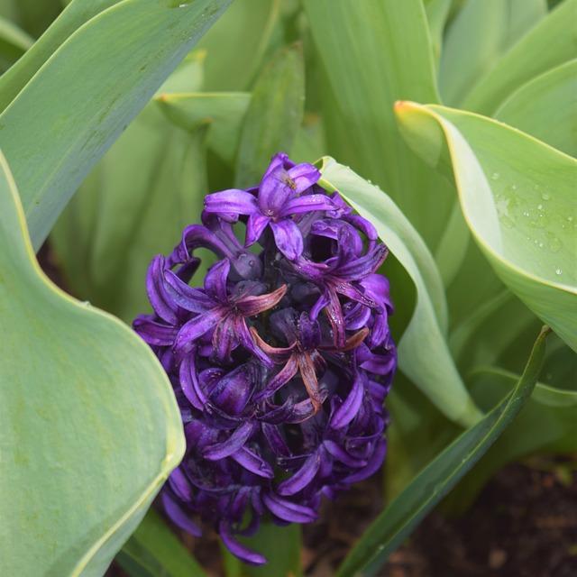 Best Cheap Rye Whiskey: Quality on a Budget Explored 3 2. Hidden Gems in the World of Affordable Rye Whiskey: Uncovering Quality Bargains