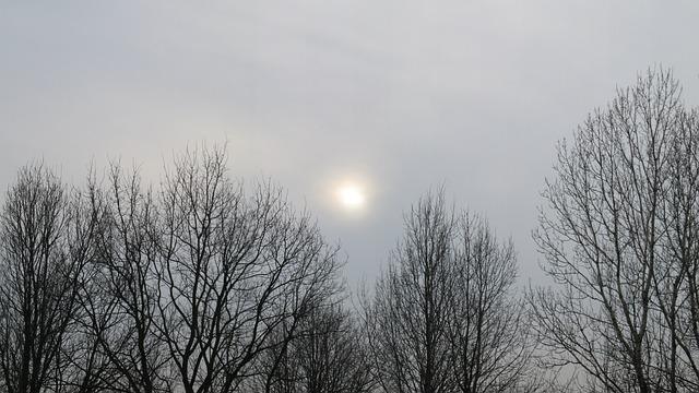 Jura Whiskey: Reviews That Explore the Island Spirit in Every Drop 4 3. Delving into the Craftsmanship Behind Jura Whiskey's Unique Production Process