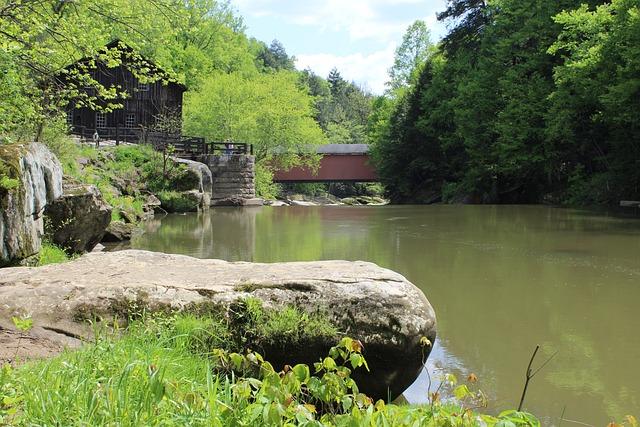 McConnell's Irish Whiskey Review: Legacy in Every Sip 2 Introduction to McConnell's Irish Whiskey