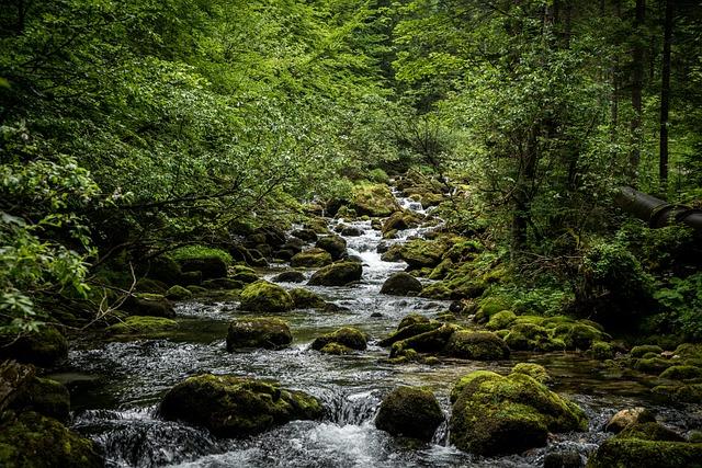 - Uncovering the Origins and Traditions Behind Salted Caramel Whiskey
